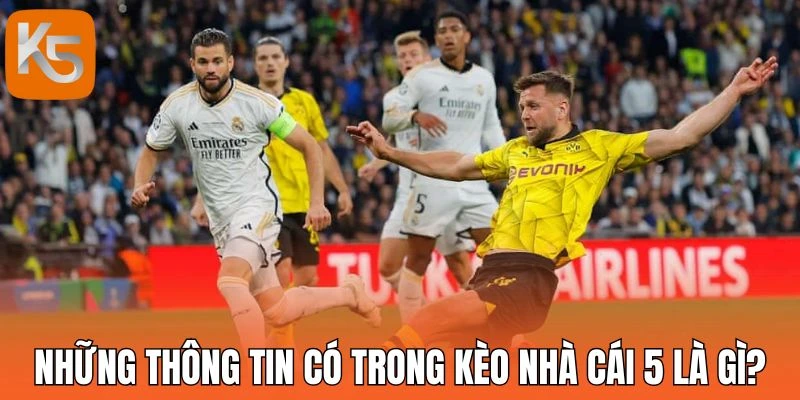 Những thông tin có trong kèo nhà cái 5 là gì?